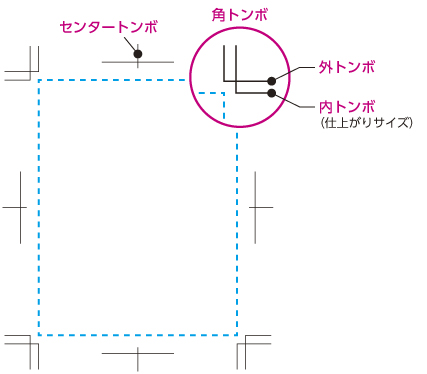 トンボ.jpg